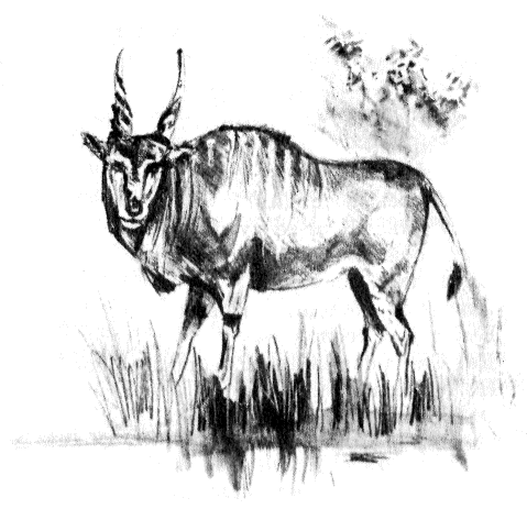 Томек в стране фараонов - pic08.png