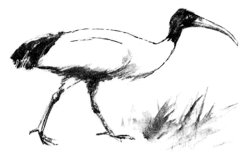 Томек в стране фараонов - pic10.png