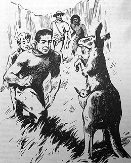 Томек в стране кенгуру - pic13.jpg