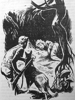 Томек в стране кенгуру - pic20.jpg