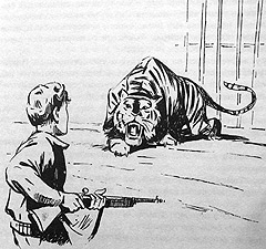 Томек в стране кенгуру - pic9.jpg