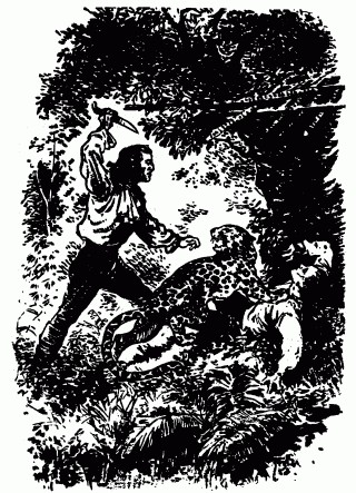 Наследник из Калькутты - q19_09_26