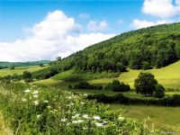 Читать книгу Михаль Отсо (СИ), автор "Arcobaleno" Михаль Отсо (СИ) - "Arcobaleno"