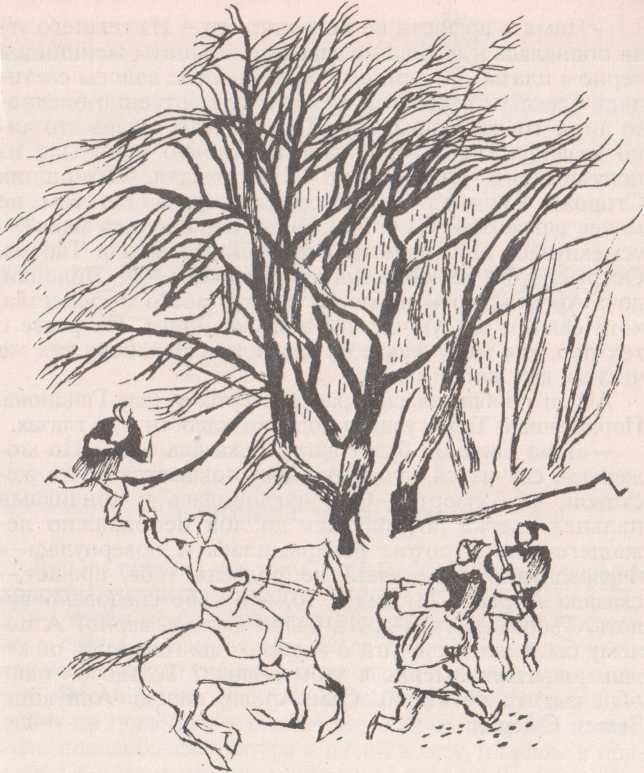 Верховный король - _2.jpg