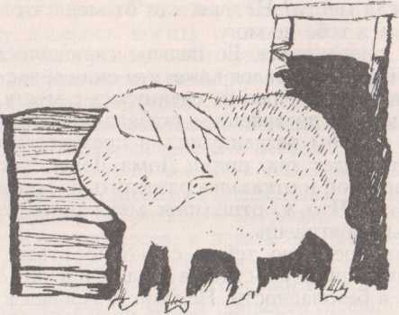 Верховный король - _5.jpg