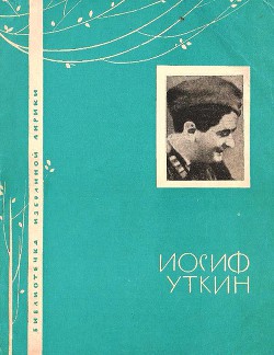 Серия книг Библиотечка избранной лирики
