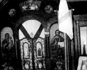 Белоэмигранты между звездой и свастикой. Судьбы белогвардейцев - i_009.jpg