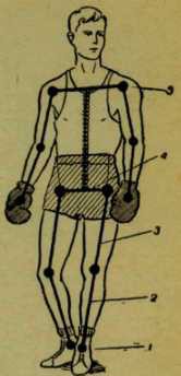 Быстрота в боксе - _10.jpg