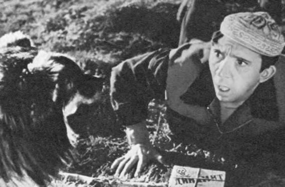 Комики мирового экрана - _277.jpg