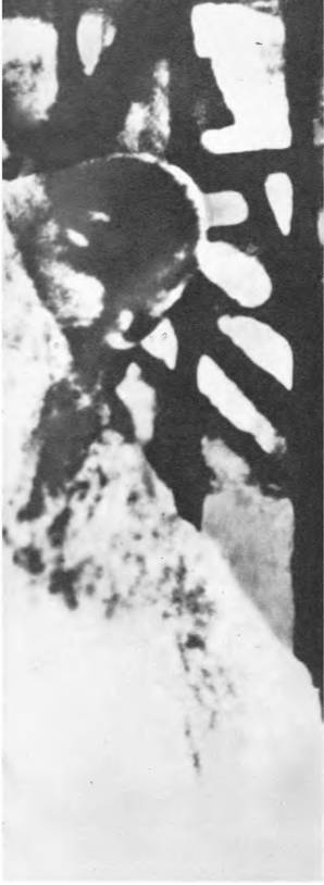 Комики мирового экрана - _9.jpg