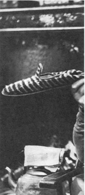 Комики мирового экрана - _207.jpg