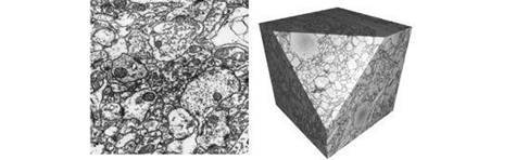 Искусственный интеллект. Этапы. Угрозы. Стратегии - _5.jpg