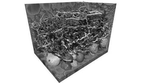 Искусственный интеллект. Этапы. Угрозы. Стратегии - _6.jpg