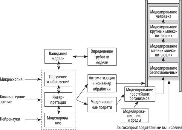 Искусственный интеллект. Этапы. Угрозы. Стратегии - _7.jpg