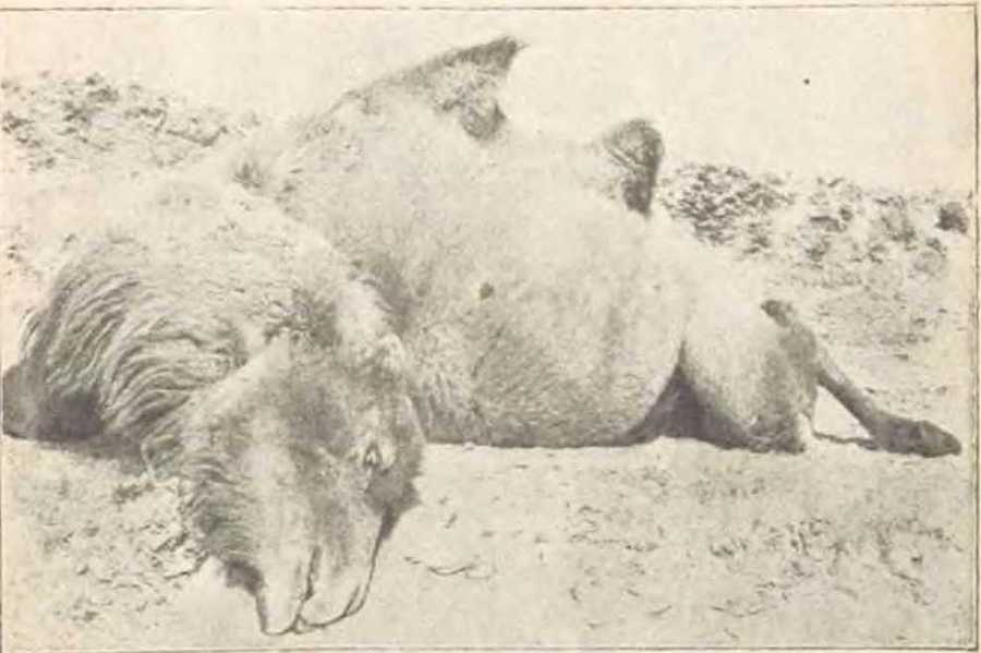 В заоблачной стране - i_012.jpg