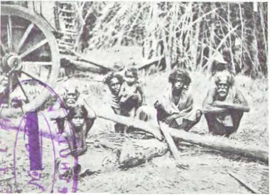 В джунглях Индии - i_003.jpg