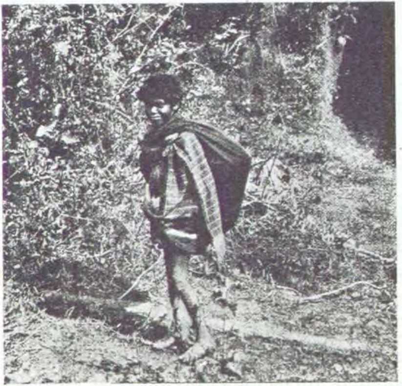 В джунглях Индии  - i_015.jpg