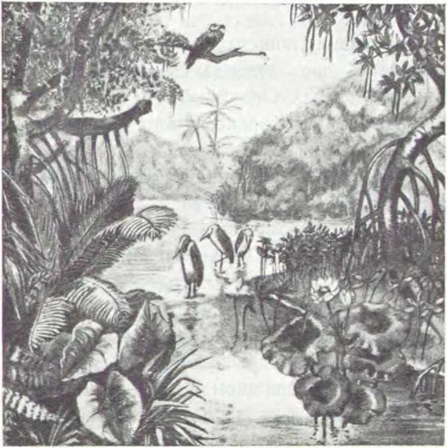 В джунглях Индии  - i_017.jpg