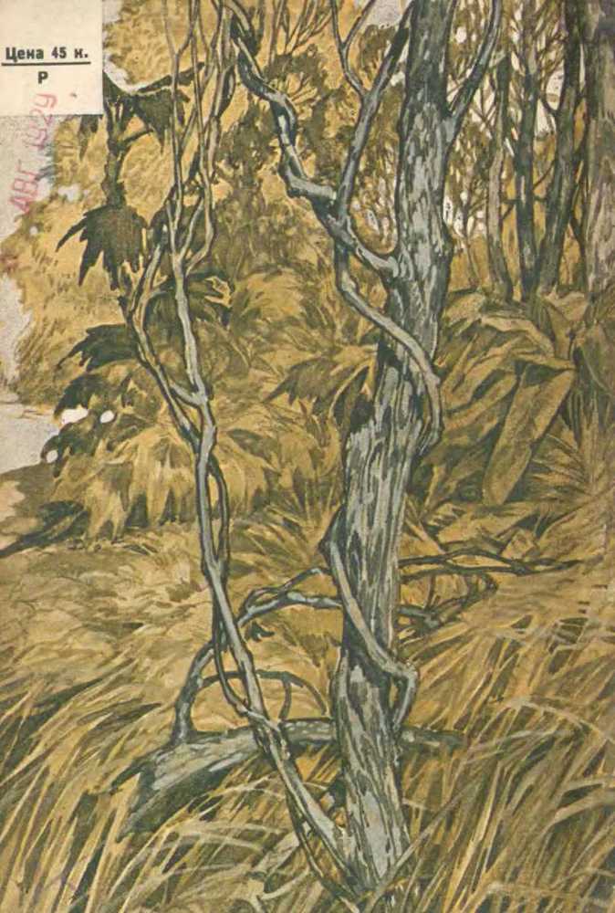 В джунглях Индии  - i_019.jpg