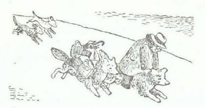 Сказки (иллюстрации Конашевича В.М.) - _124.jpg