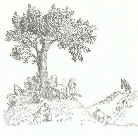 Сказки (иллюстрации Конашевича В.М.) - _145.jpg