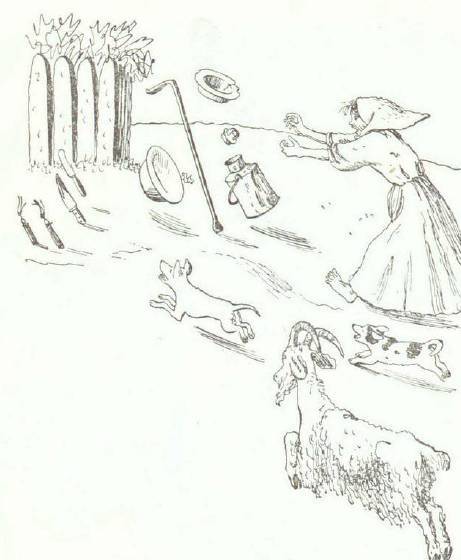 Сказки (иллюстрации Конашевича В.М.) - _162.jpg