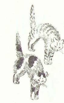 Сказки (иллюстрации Конашевича В.М.) - _164.jpg