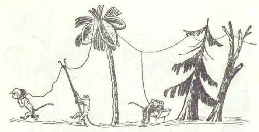 Сказки (иллюстрации Конашевича В.М.) - _5.jpg