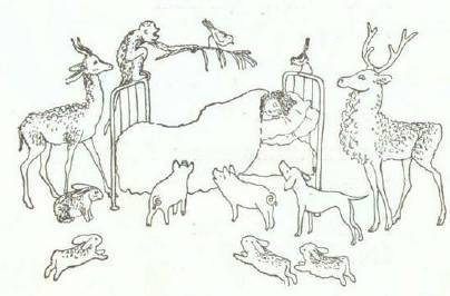 Сказки (иллюстрации Конашевича В.М.) - _50.jpg