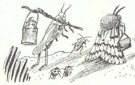 Сказки (иллюстрации Конашевича В.М.) - _55.jpg