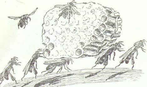 Сказки (иллюстрации Конашевича В.М.) - _57.jpg