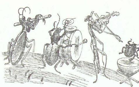 Сказки (иллюстрации Конашевича В.М.) - _66.jpg