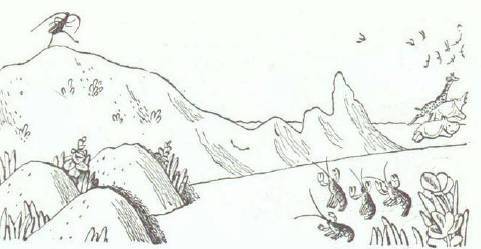 Сказки (иллюстрации Конашевича В.М.) - _78.jpg