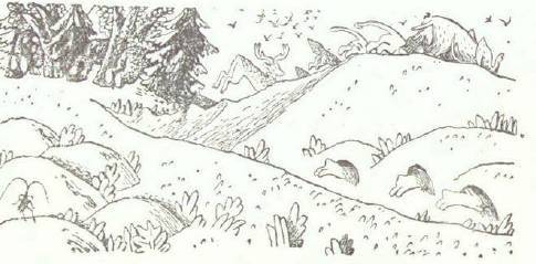 Сказки (иллюстрации Конашевича В.М.) - _81.jpg