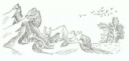 Сказки (иллюстрации Конашевича В.М.) - _88.jpg