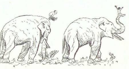 Сказки (иллюстрации Конашевича В.М.) - _98.jpg