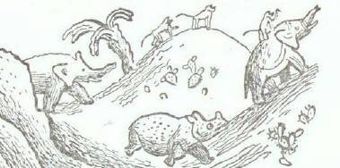 Сказки (иллюстрации Конашевича В.М.) - _131.jpg