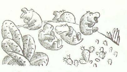 Сказки (иллюстрации Конашевича В.М.) - _132.jpg