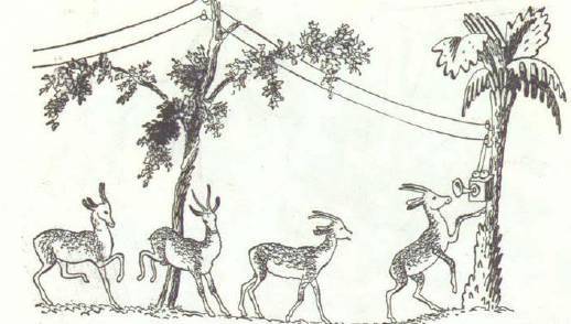 Сказки (иллюстрации Конашевича В.М.) - _14.jpg