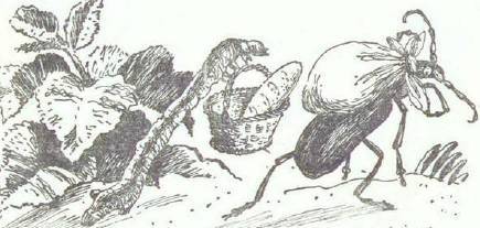 Сказки (иллюстрации Конашевича В.М.) - _58.jpg