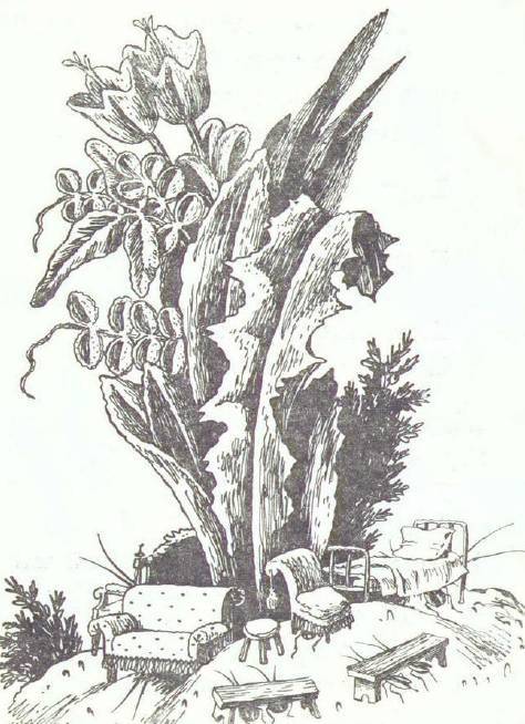 Сказки (иллюстрации Конашевича В.М.) - _60.jpg