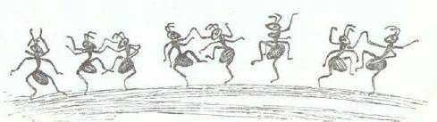 Сказки (иллюстрации Конашевича В.М.) - _65.jpg