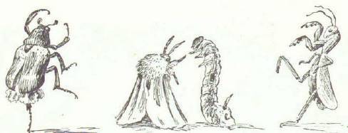 Сказки (иллюстрации Конашевича В.М.) - _70.jpg