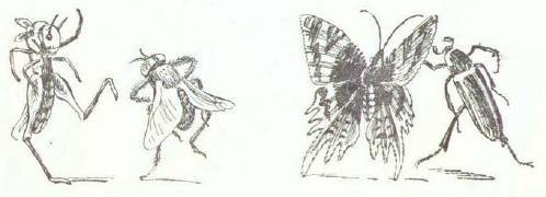 Сказки (иллюстрации Конашевича В.М.) - _71.jpg