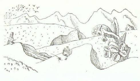 Сказки (иллюстрации Конашевича В.М.) - _89.jpg