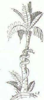 Сказки (иллюстрации Конашевича В.М.) - _106.jpg