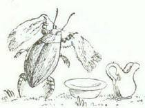 Сказки (иллюстрации Конашевича В.М.) - _28.jpg