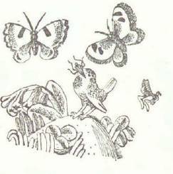 Сказки (иллюстрации Конашевича В.М.) - _93.jpg