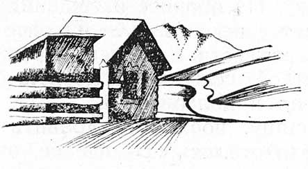 Разрыв-трава - _0225.jpg