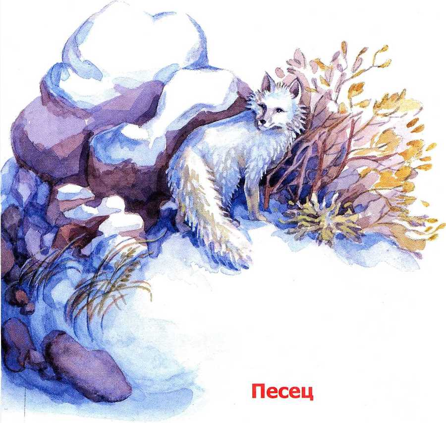 Новогодние стихи - _21.jpg